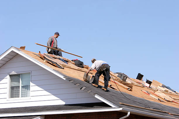 Best Sheet Metal Roofing  in Atlantic Beach, FL